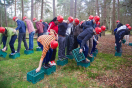 New Forest Activities