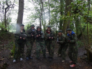 New Forest Activities